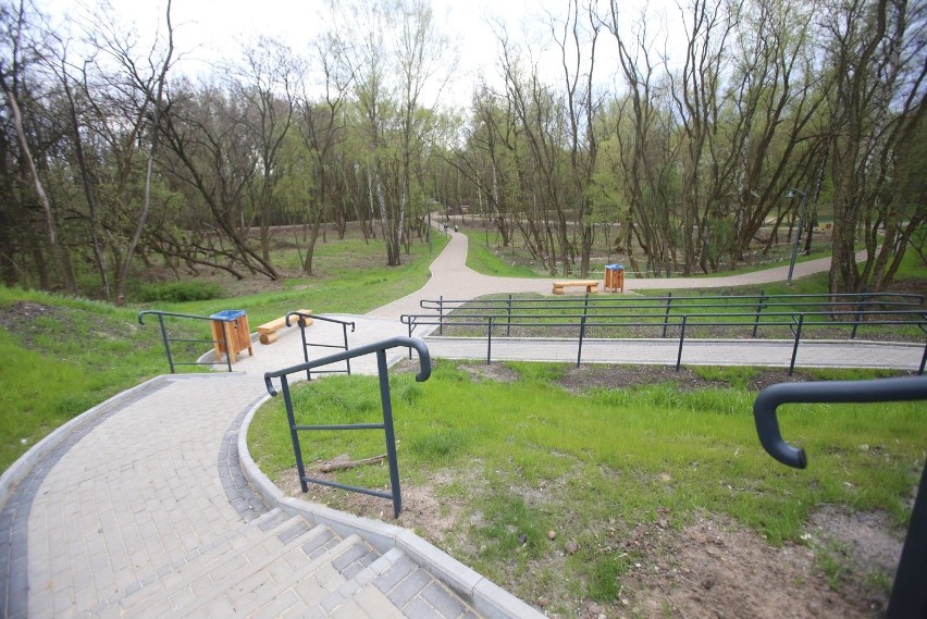 Tak wygląda rewitalizowany Park Tysiąclecia w Sosnowcu...