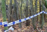 Tragedia w lesie koło Skwierzyny. Znaleziono ciało rowerzysty