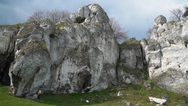 Skały Rzędkowickie to wyjątkowa dolina grup skalnych na Jurze Krakowsko-Częstochowskiej