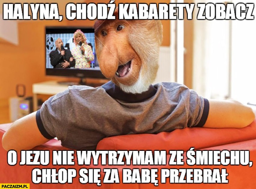 Memy o kabaretach. Co nas śmieszy, a co nie podczas nocy...