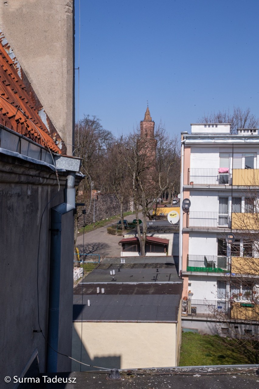 W obiektywie Tadeusza Surmy: widoki z dachu Książnicy Stargardzkiej