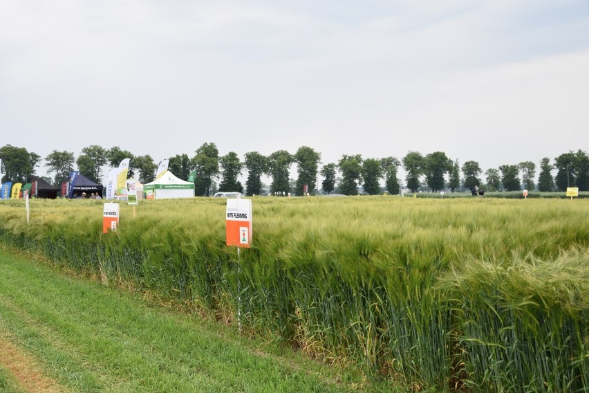 W Sielinku rozpoczęły się Wielkopolskie Targi Rolnicze. Zobaczcie zdjęcia!