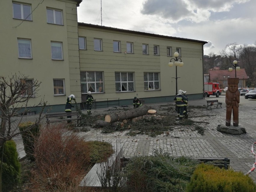 Z rynku w Gilowicach wycięto jedyne dwa drzewa. Mieszkańcy pytają dlaczego. Wójt tłumaczy [ZDJĘCIA]
