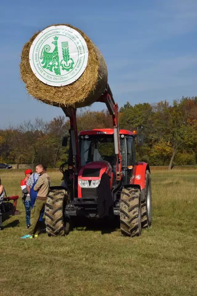 Tradycyjny Konkurs Orki w Nakle Śląskim