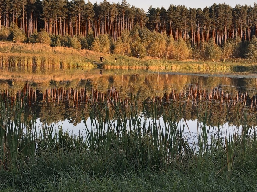 Zalew w Czerwieńsku jesienną porą.