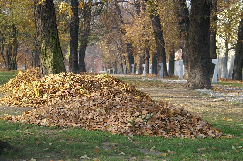 Jesień  w Parku im. Dąbrowskiego [ZDJĘCIA]