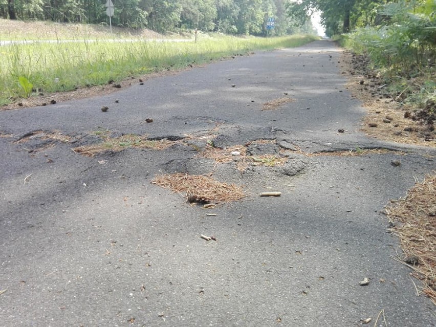 Trasa rowerowa prowadząca do jeziora Głębokiego woła o...