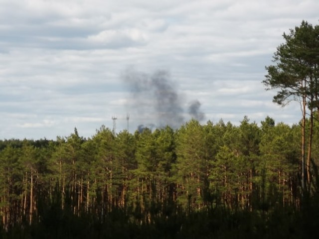 Słup dymu nad Puszczą Notecką widziany z bardzo dużej odległości - alarmują mieszkańcy.