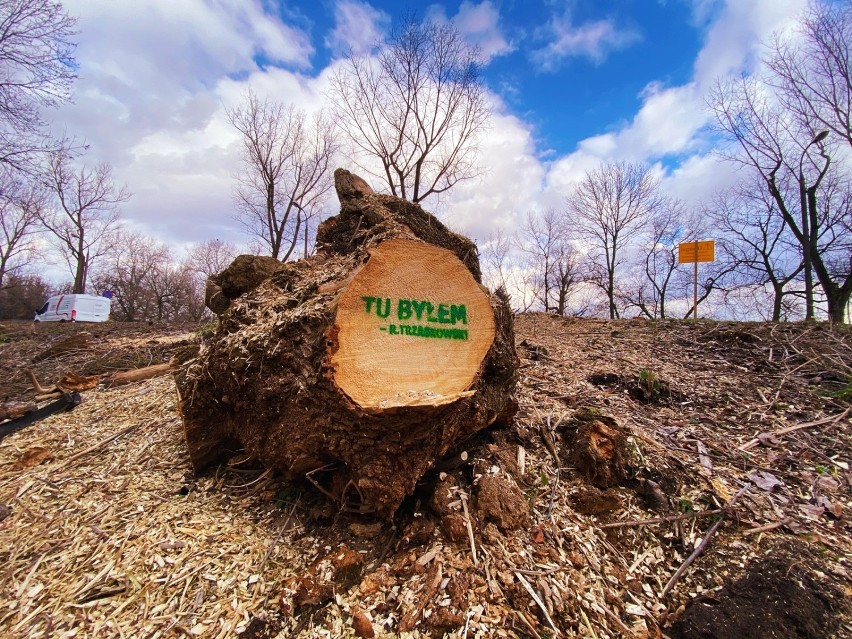 "Tu byłem - Rafał Trzaskowski". Greenpeace krytykuje decyzję prezydenta miasta związaną z wycinką drzew przy Wybrzeżu Helskim [ZDJĘCIA]