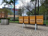 Przy Centrum Handlowym Pogoria w Dąbrowie Górniczej powstała Pogoriowa Pasieka Miodna. W czterech ulach zamieszka 200 tys. pszczół 