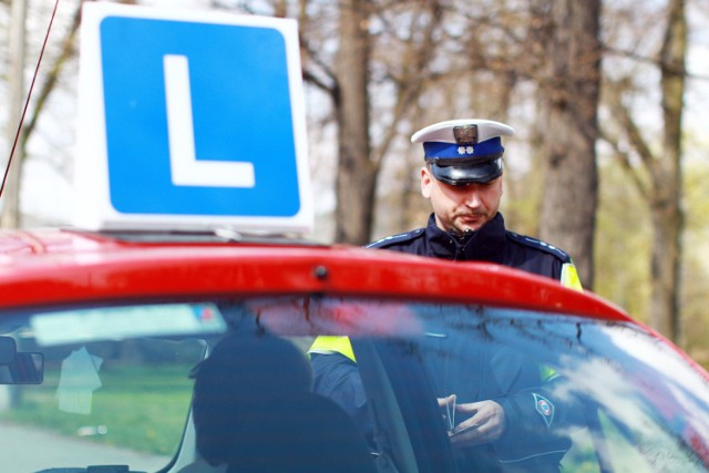 Mandat karny może zostać nałożony nie tylko na kierowcę posiadającego prawo jazdy, ale także na kursantów ośrodków nauki jazdy.