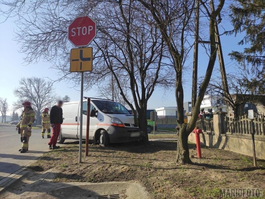 Pijany kierowca uderzył w drzewo w Żelaznej pod Opolem.