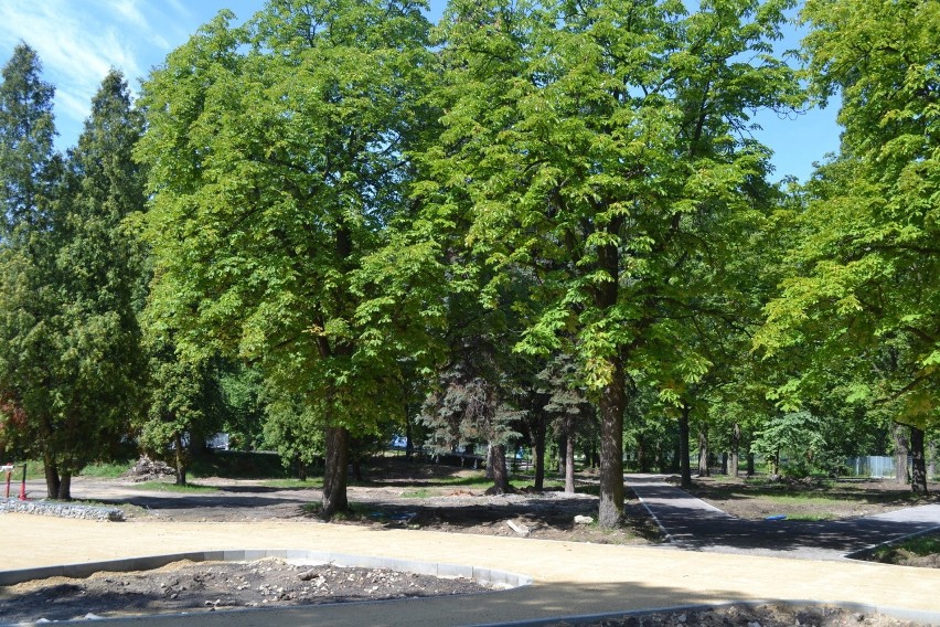 Park Bioróżnorodności powstaje przy Egzotarium w Sosnowcu....