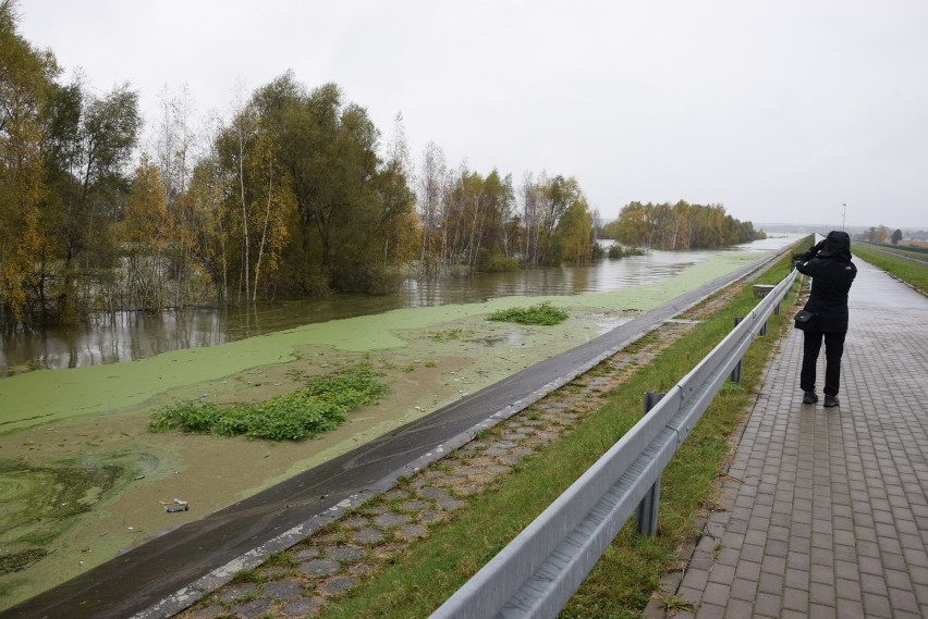 Tak wiele wody w Jeziorze Nyskim jeszcze nie było. Wkrótce rozpocznie się zrzut wody Nysą Kłodzką