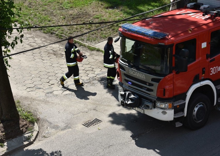 Płonęły drzwi mieszkania! Akcja w niechlubnym wieżowcu przy Młodej 4 w Kielcach [ZDJĘCIA]