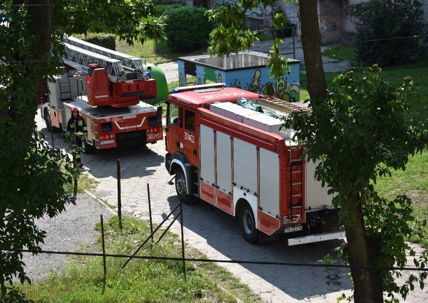 Płonęły drzwi mieszkania! Akcja w niechlubnym wieżowcu przy Młodej 4 w Kielcach [ZDJĘCIA]