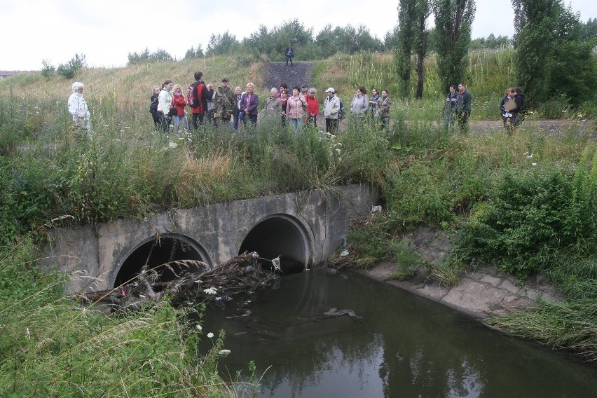 Wykopaliska w Rudzie Śląskiej. Badają gródek w Kochłowicach