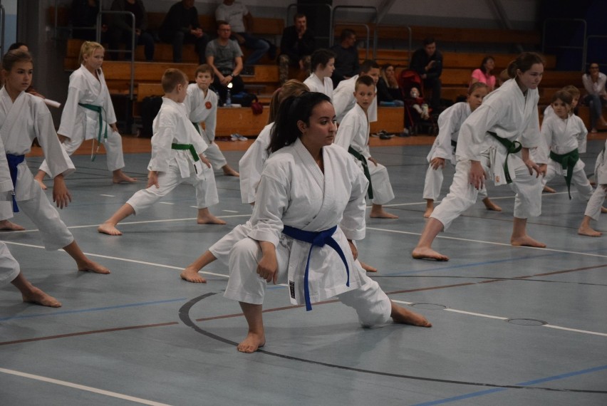 Mistrz karate Pemba Tamang rozpoczął w Łęczycy szkolenie adeptów karate [ZDJĘCIA,FILM]