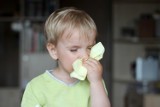 Czy dziecko z katarem może chodzić do przedszkola? Czy powinno wychodzić na dwór? Jak rozpoznać przyczynę nieżytu nosa u malucha?