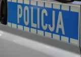Poszukiwani listami gończymi zatrzymani przez łęczyckich policjantów 