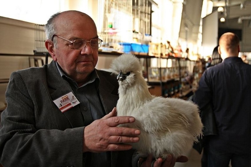 Można było oglądać również wystawę drobiu. Fot. Tomasz Hens