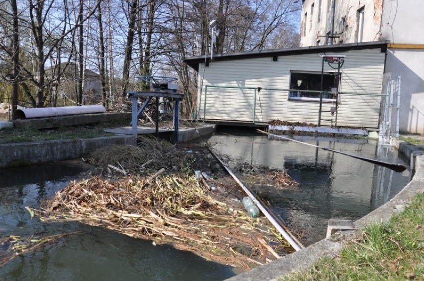 Śmieci zamiast w kontenerach „lądują” w potoku a potem płyną...