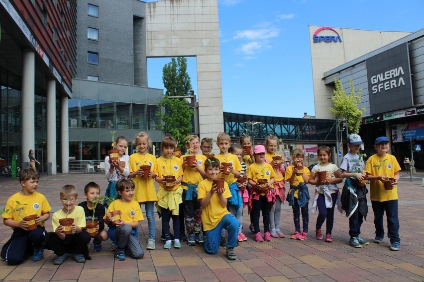 Akcja „SiejeMY Słońce” w Katowicach