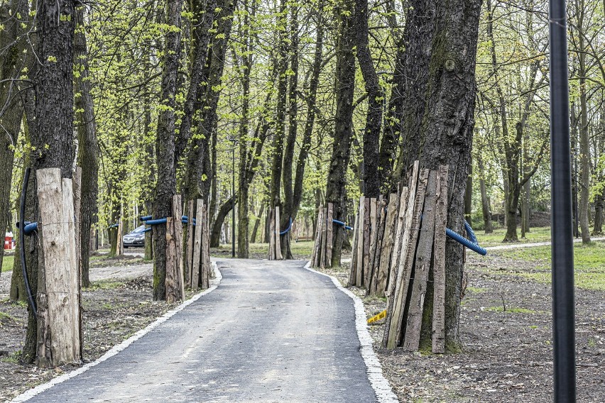 Park w Wełnowcu należy do czterech rewitalizowanych w...