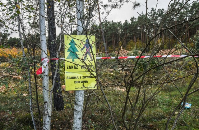 Wycinka drzew w okolicy bydgoskich Glinek nie umknęła uwadze mieszkańców.
