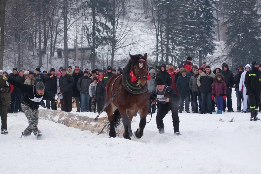 Węgierska Górka: Międzynarodowe Zawody Furmanów 2013 [ZOBACZ ZDJĘCIA]