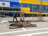 W końcu znamy datę oficjalną datę otwarcia IKEA w Szczecinie! To już potwierdzone! ZDJĘCIA ze środka! 