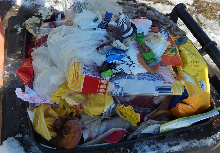 Prowadzone od kilku miesięcy kontrole na posesjach w gminie Działoszyn ujawniły skalę nieprawidłowej segregacji odpadów