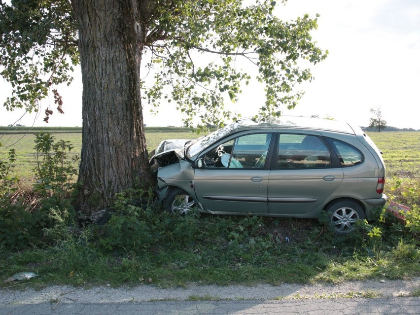 Radziejów. Pijana 23-latka uderzyła w drzewo. W samochodzie wiozła dwójkę dzieci w wieku 6 i 9-lat [zdjęcia]