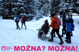 Morskie Oko. Ludzki zaprzęg pomógł niepełnosprawnemu dojechać nad staw