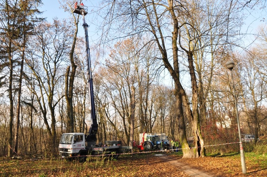 Park w Łęcznej