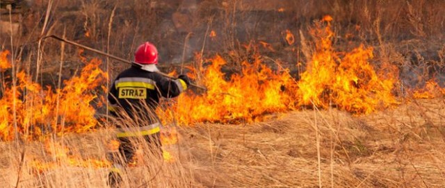 Agencja Restrukturyzacji i Modernizacji Rolnictwa przypomina: wypalanie traw jest karalne.