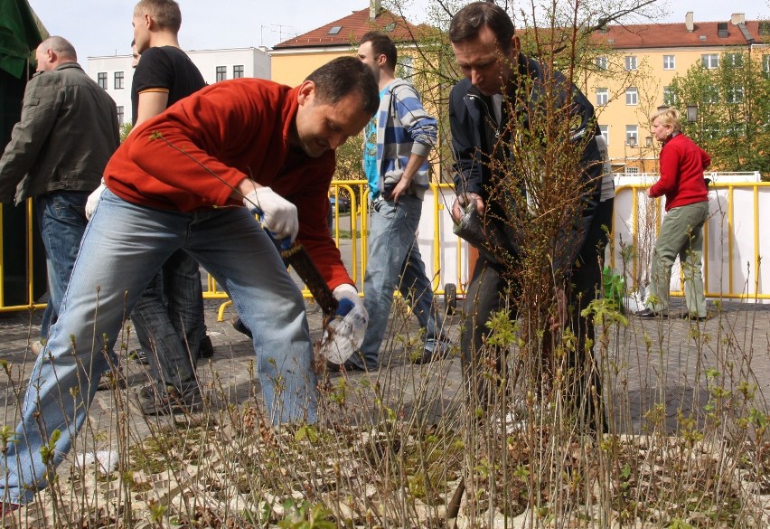 Rusza akcja ekologiczna Dziennika Bałtyckiego: Drzewko za makulaturę