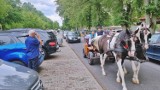 Z okazji wspomnienia św. Krzysztofa - patrona kierowców odbyło się święcenie pojazdów w Górce Klasztornej [WIDEO]