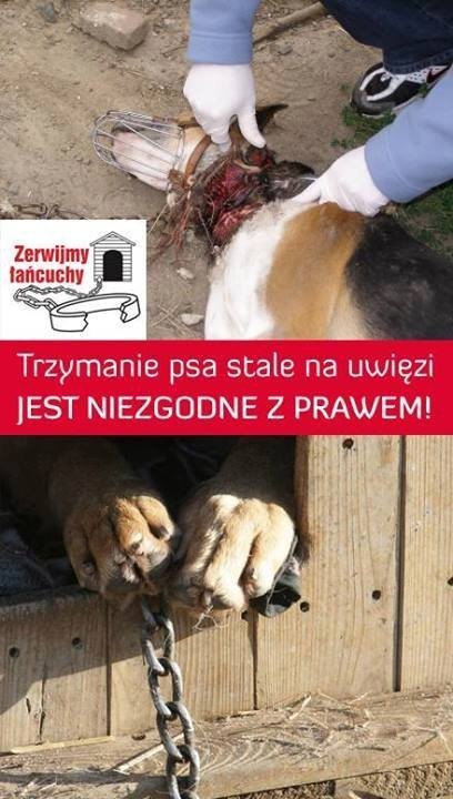 OTOZ Animals Lubliniec włącza się w akcję "Zerwijmy...
