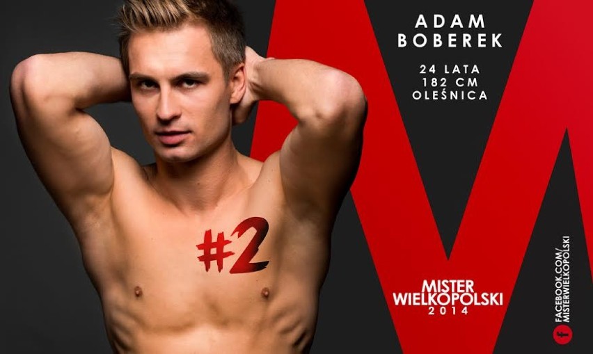 Mister Wielkopolski 2014