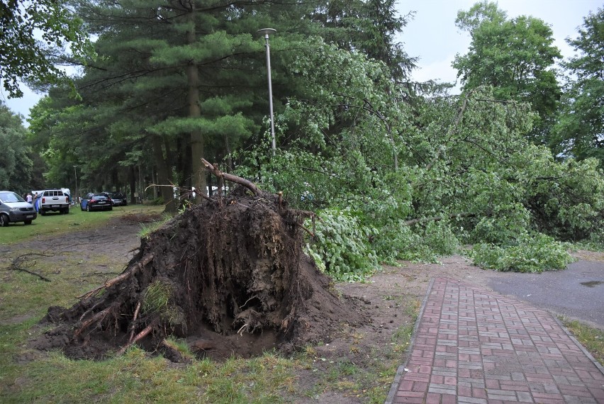 Potężna burza przeszła nad Człuchowem - połamane drzewa, niebezpieczna sytuacja na kempingu ZDJĘCIA