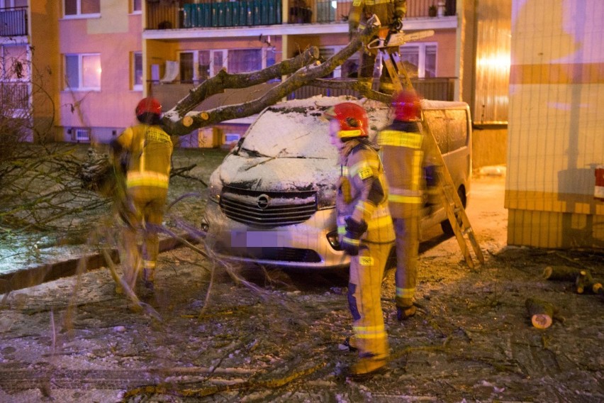 Silny wiatr, zamieć i powalone drzewa. Wichura w regionie