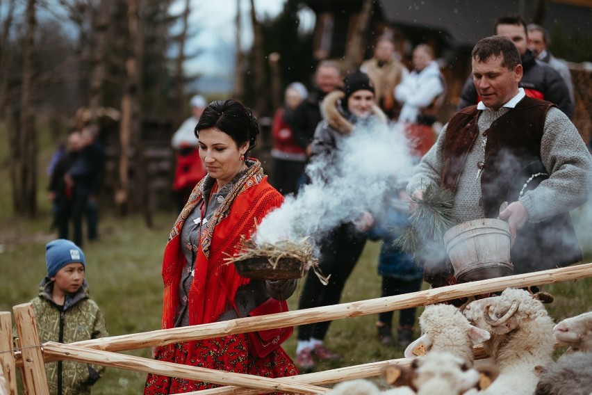 Małe Ciche. Święto Bacowskie na Tarasówce. Kadzili stada owiec, sezon wypasu rozpoczęty