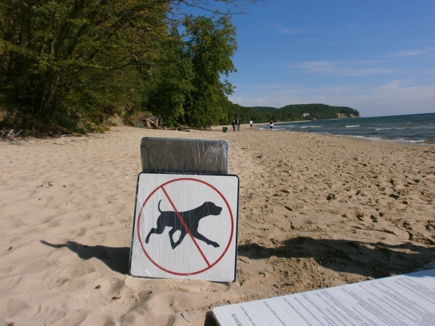 Gdynia: Plaża dla psów już oznakowana. 100 metrów przy Kolibkach, kilometr od strzeżonego kąpieliska