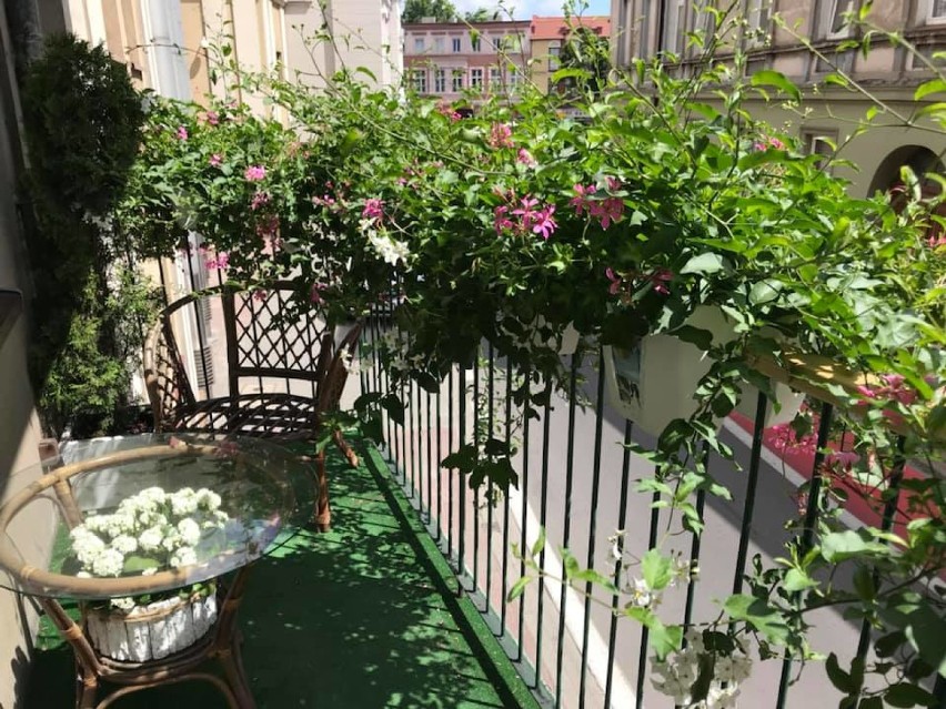 Oto Wasze piękne ostrowskie balkony i ogródki! Pochwalcie się kolejnymi