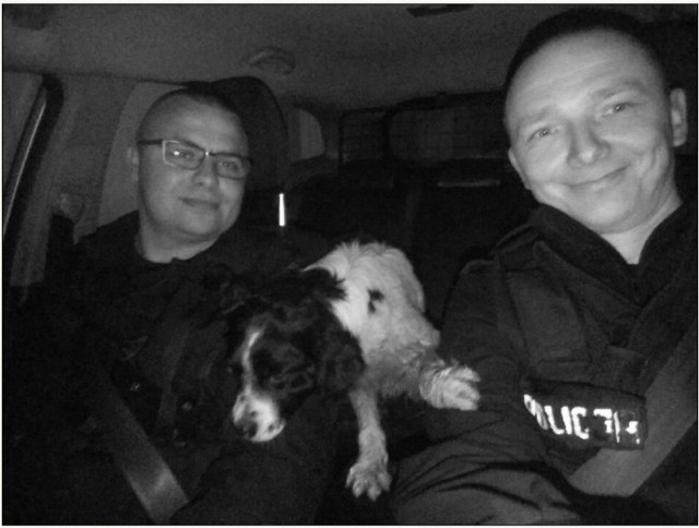 Policjanci ze Stawiszyna zaopiekowali się bezdomnym psem