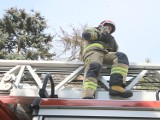 Nietypowa interwencja straży pożarnej w Szynwałdzie koło Tarnowa. Druhowie OSP ruszyli z pomocą kotu, który kilka dni spędził na drzewie
