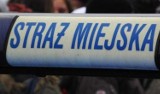 Zaginiony mężczyzna siedział na trawniku, przed sklepem w Kielcach