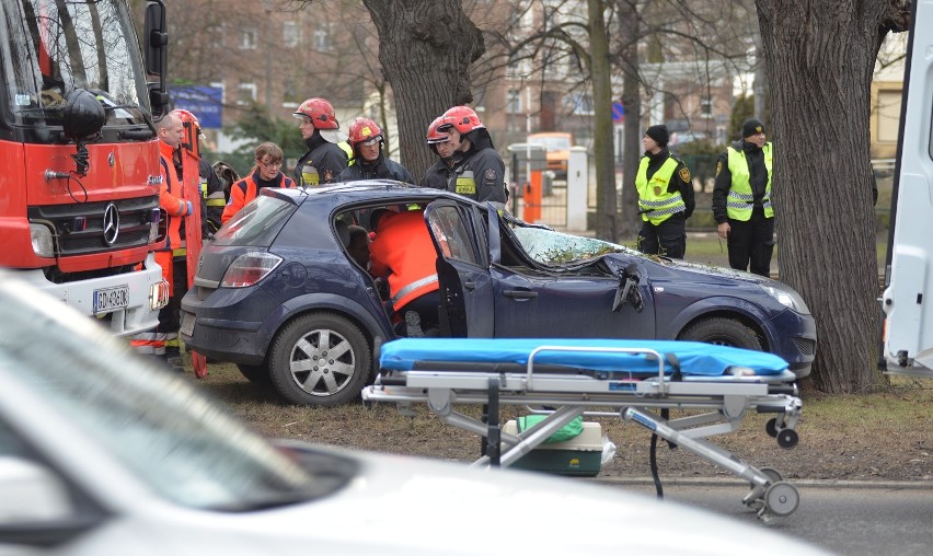 Wypadek na Alei Zwycięstwa w Gdańsku. Drzewo spadło na samochód [ZDJĘCIA]