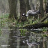 Głogów: Nowa wystawa w galerii Pływalni Chrobry Wellness &amp; SPA